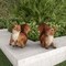 Nature Spring Set of 2 Squirrel Statues, Resin Animal Figurines for Outdoor Lawn and Garden Decor, Flower Beds 188671EZD - alternate 1